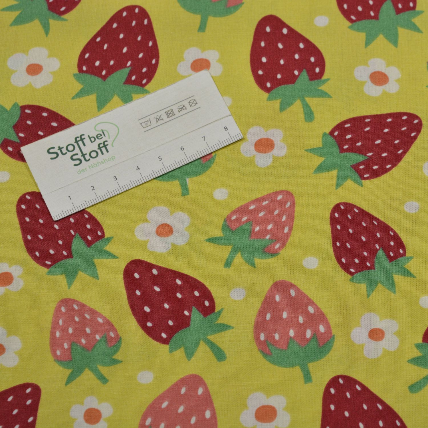 Baumwolle "Erdbeerwiese" - SBS12739