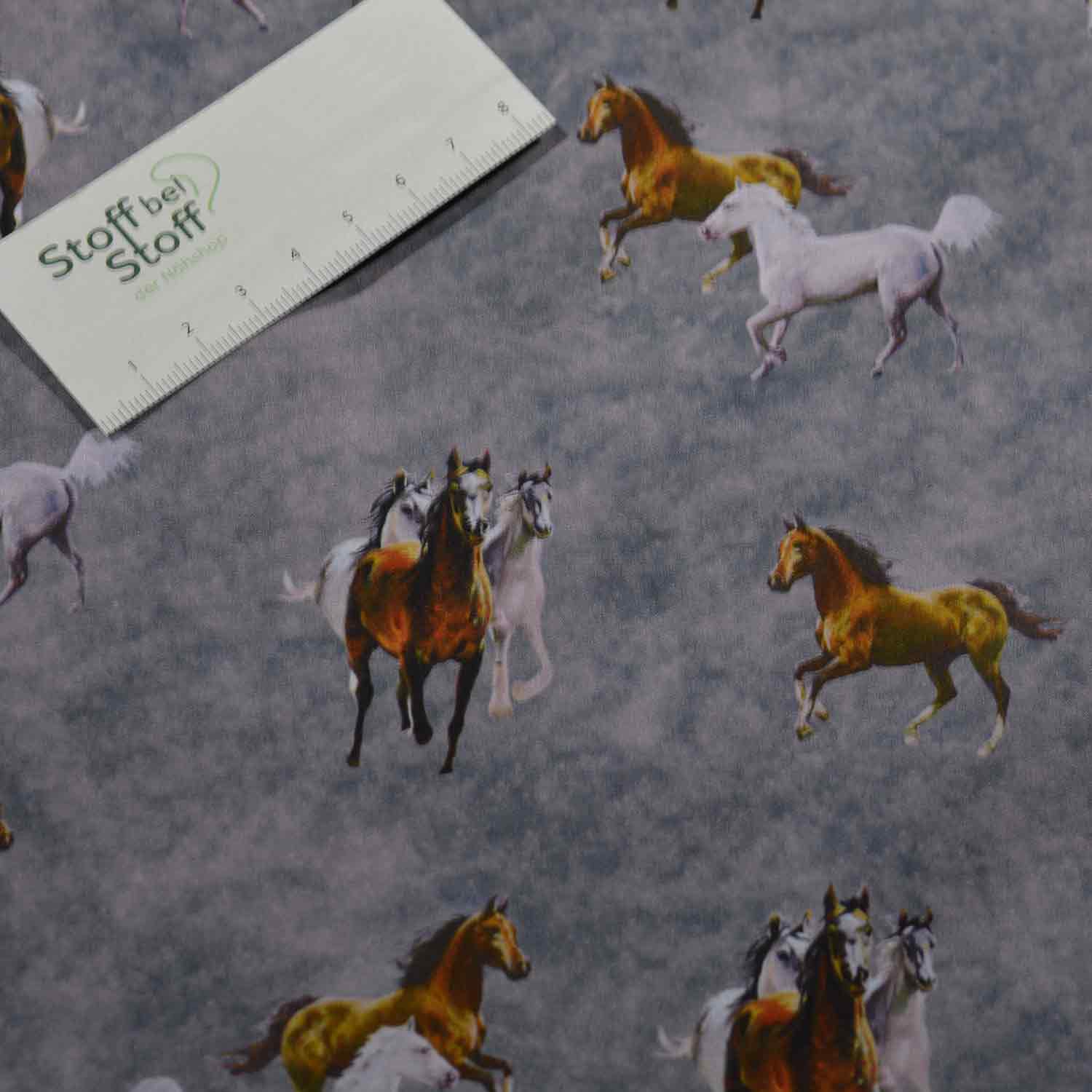 Softshell Pferde - SBS10913
