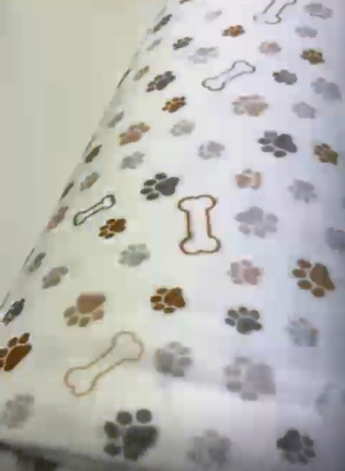 50% Rabatt Reststück 0,5 Meter Microfleece "Knochen!" - SBS11854 