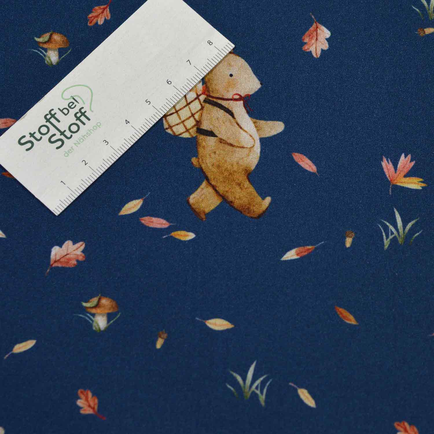 Softshell Bär im Herbst SBS10137