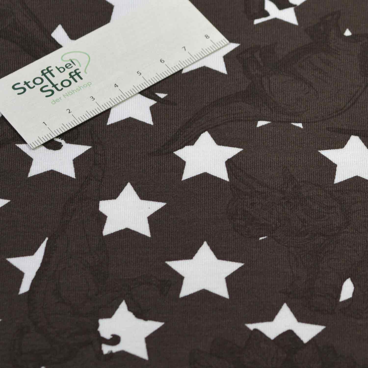 Baumwoll-Jersey "Dino-Stars" SBS10165 Baumwoll-Jersey "Dino-Stars" SBS10165